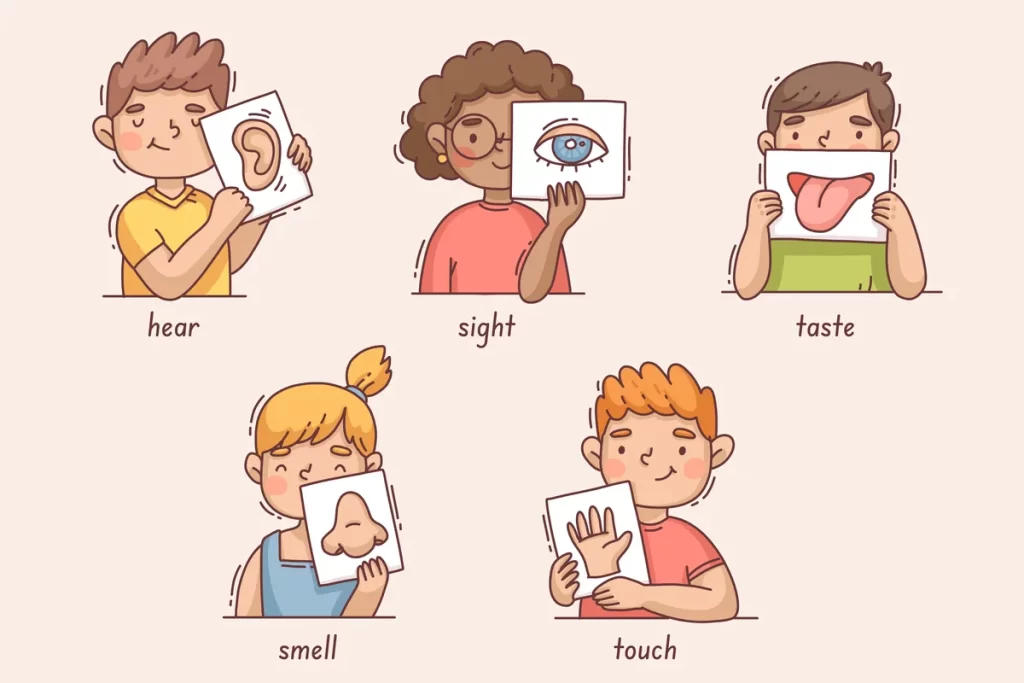 Ilustração de cinco crianças de várias etnias, cada uma segurando um cartão com um órgão sensorial correspondente aos cinco sentidos. Na linha superior: um menino (audição - orelha), uma menina (visão - olho) e um menino (paladar - língua). Na linha inferior: uma menina (olfato - nariz) e um menino (tato - mão). As legendas em inglês são "hear", "sight", "taste", "smell" e "touch".