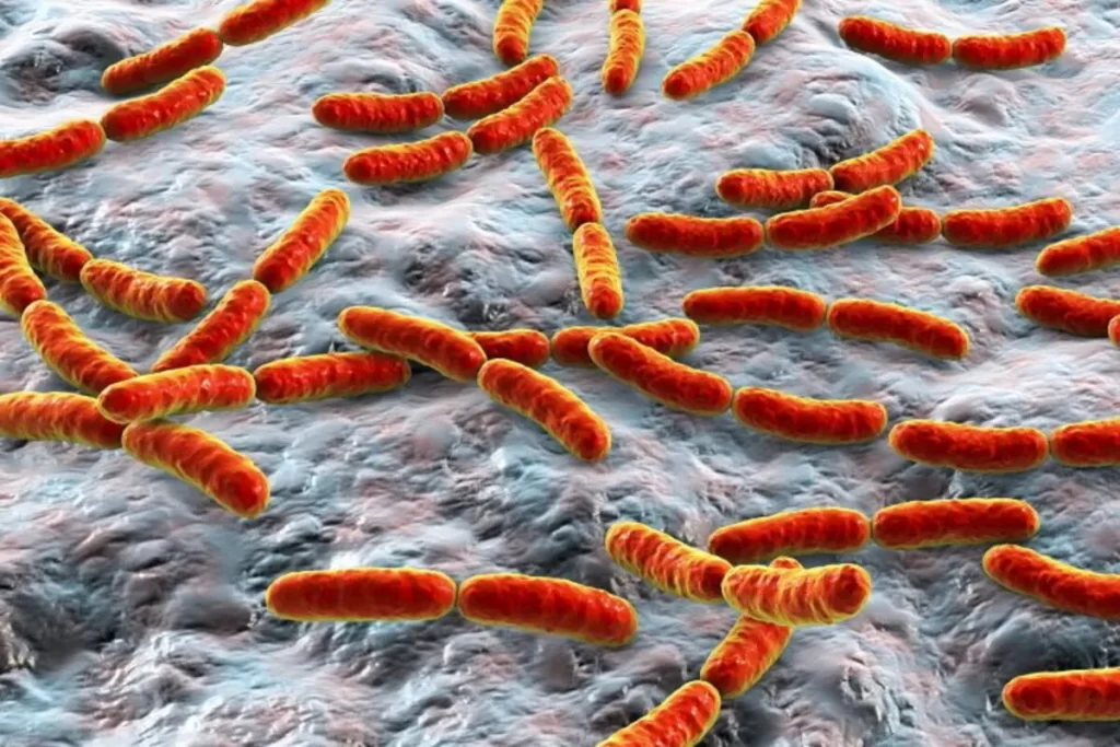 Representação microscópica da microbiota intestinal com bastonetes de bactérias em um fundo texturizado.