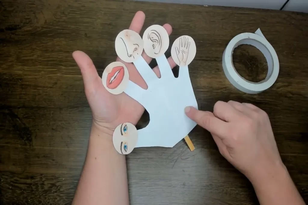 Vista aérea de um projeto artesanal educativo sobre os cinco sentidos. Uma mão de papel branca tem cinco círculos colados nos dedos e no pulso, cada um ilustrando um órgão sensorial: nariz, orelha, mão (tato), boca e olho. Uma mão adulta segura e aponta para o projeto que está sobre uma mesa escura de madeira, ao lado de um rolo de fita adesiva.