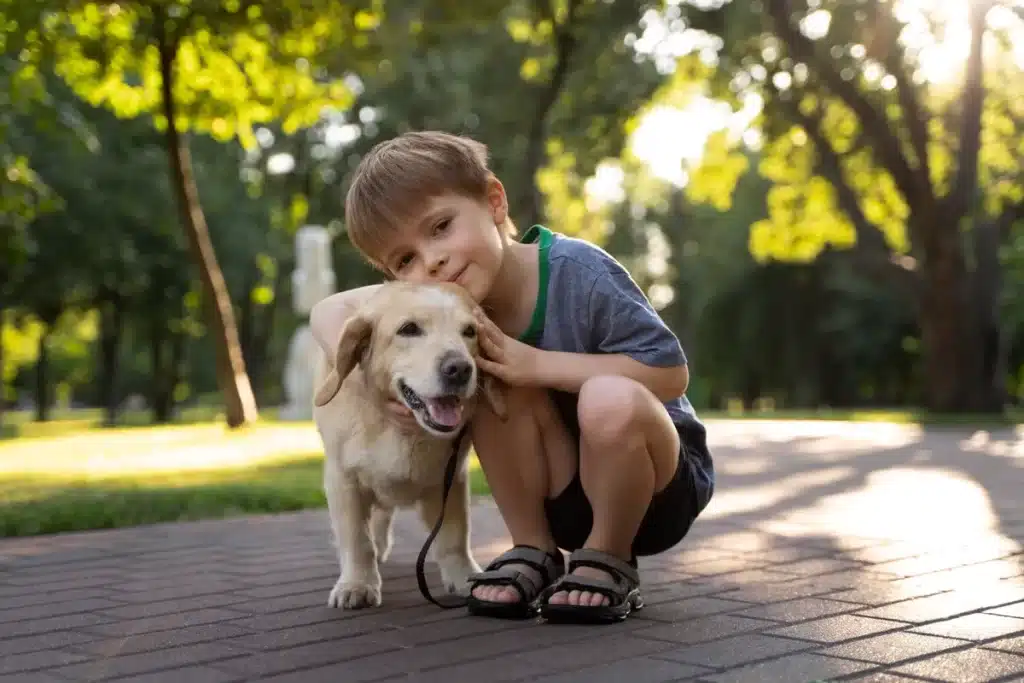 Um menino caucasiano de cabelo castanho e shorts pretos abraça afetuosamente um cão Golden Retriever jovem ou Labrador em uma coleira, enquanto se agacha em um caminho de tijolos no parque, sob a luz do sol.